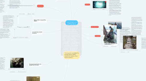 Mind Map: Promote small-scale artisanal fishing