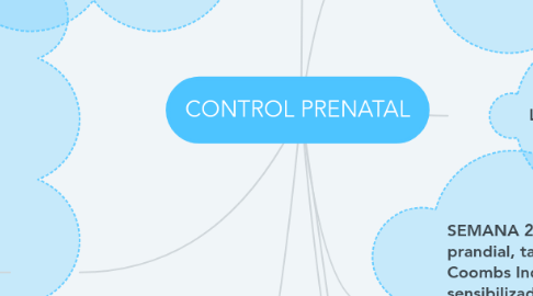 Mind Map: CONTROL PRENATAL