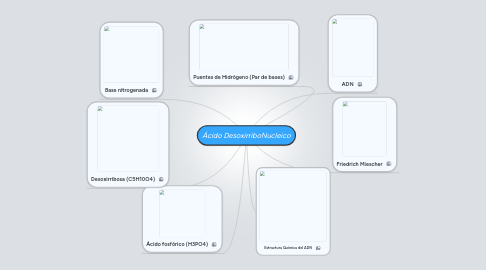 Mind Map: Ácido DesoxirriboNucleico