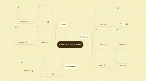 Mind Map: Bases Nitrogenadas