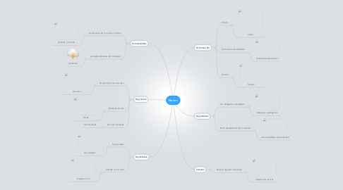 Mind Map: Nuves