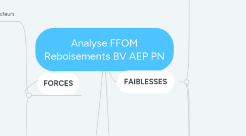 Mind Map: Analyse FFOM Reboisements BV AEP PN