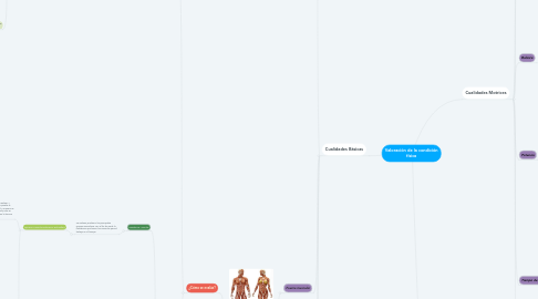 Mind Map: Valoración de la condición física