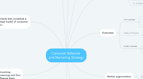 Mind Map: Consumer Behavior  and Marketing Strategy