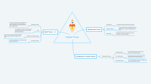Mind Map: Vegetal Tissues