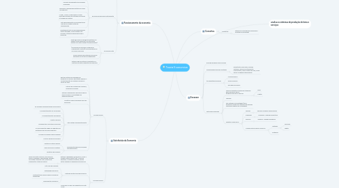 Mind Map: Teoria Economica