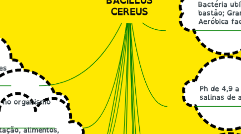 Mind Map: BACILLUS CEREUS