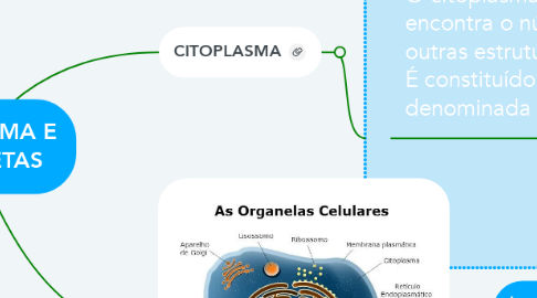 Mind Map: CITOPLASMA E ORGANETAS