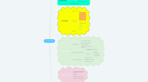 Mind Map: Tự nhiên & Xã hội