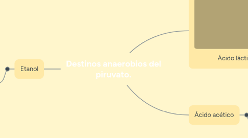 Mind Map: Destinos anaerobios del piruvato.