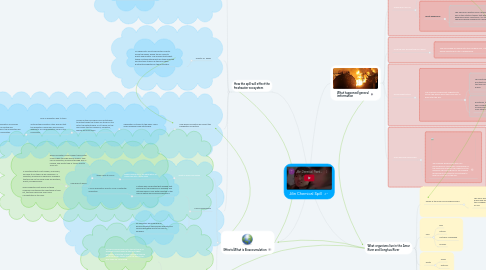 Mind Map: Jilin Chemical Spill