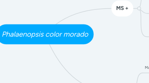 Mind Map: Phalaenopsis color morado