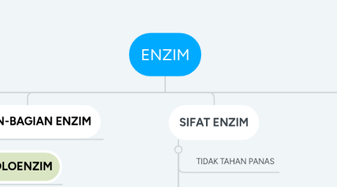 Mind Map: ENZIM