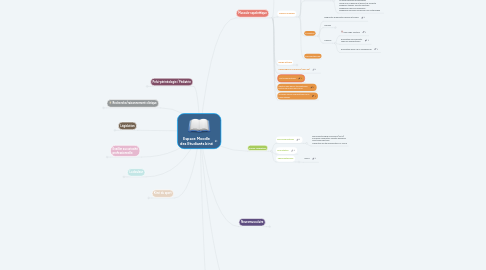 Mind Map: Espace Moodle des Etudiants kiné