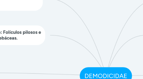 Mind Map: DEMODICIDAE