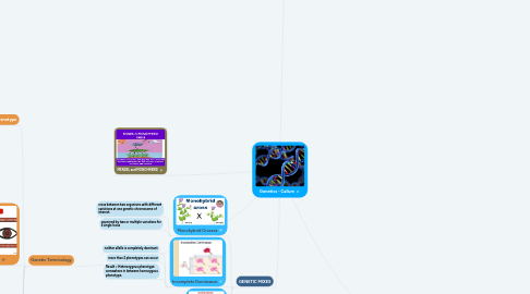 Mind Map: Genetics - Callum