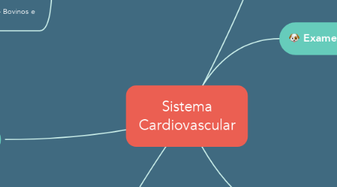 Mind Map: Sistema Cardiovascular