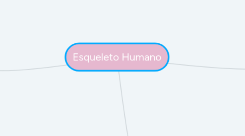 Mind Map: Esqueleto Humano