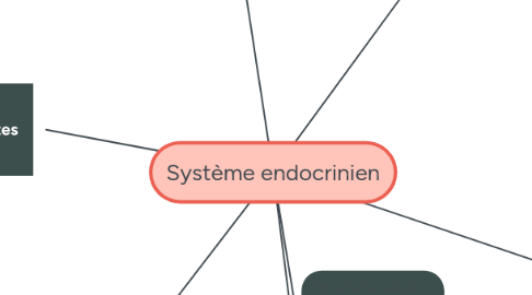 Mind Map: Système endocrinien