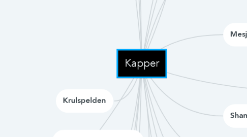 Mind Map: Kapper