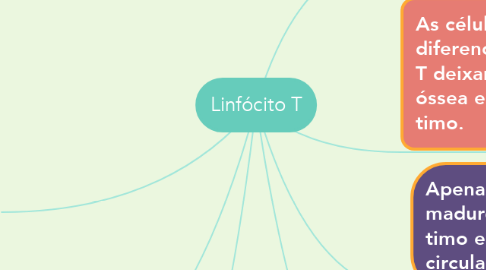 Mind Map: Linfócito T