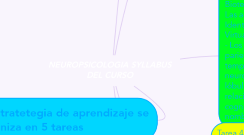 Mind Map: NEUROPSICOLOGIA SYLLABUS DEL CURSO