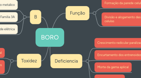 Mind Map: BORO