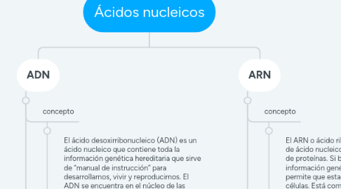 Mind Map: Ácidos nucleicos
