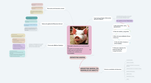Mind Map: BIENESTAR ANIMAL