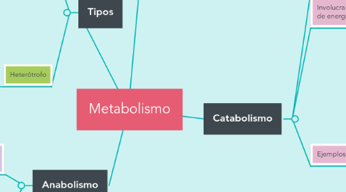 Mind Map: Metabolismo