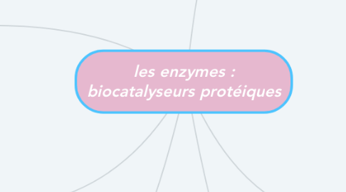 Mind Map: les enzymes : biocatalyseurs protéiques