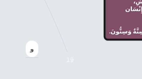 Mind Map: 19