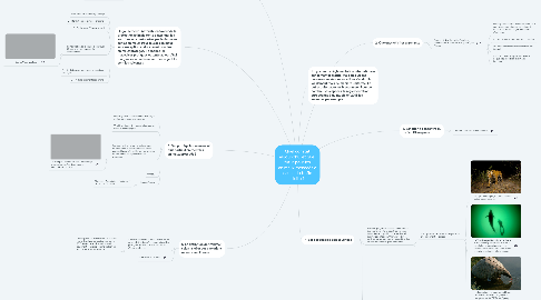 Mind Map: Quel constat aujourd'hui et quel futur pour les animaux menacés à cause du trafic illicite ?