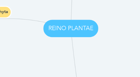 Mind Map: REINO PLANTAE