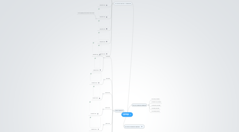 Mind Map: ОДЕЖДА