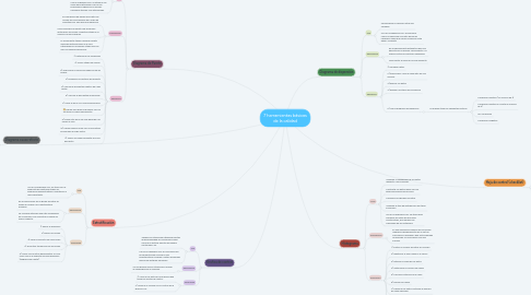 Mind Map: 7 herramientas básicas de la calidad