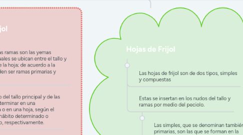 Mind Map: FRIJOL