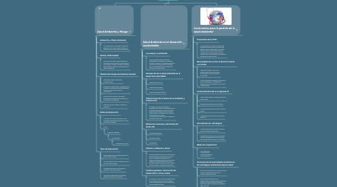 Mind Map: Salud Ambiental