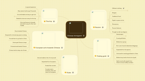 Mind Map: Chinese Immigrant