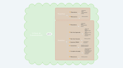 Mind Map: Sistema de Endomembranas