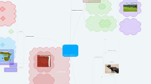 Mind Map: Савани та рідколісся