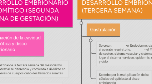 Mind Map: EMBRIOLOGÍA GENERALIDADES ARTEAGA Y LAGMAN