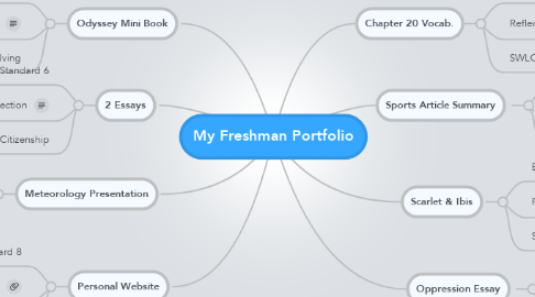 Mind Map: My Freshman Portfolio