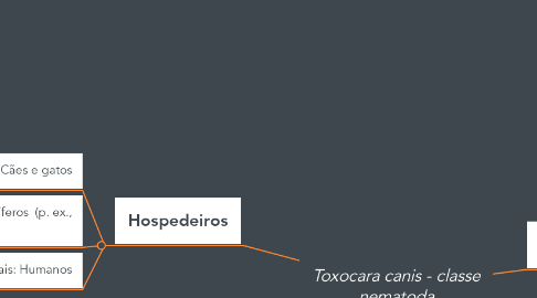 Mind Map: Toxocara canis - classe nematoda