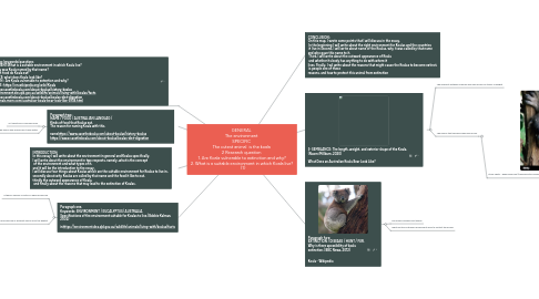 Mind Map: GENERAL  The environment  SPECIFIC  The cutest animal  is the koala  2 Research question  1. Are Koala vulnerable to extinction and why? 2. What is a suitable environment in which Koala live?   (1)