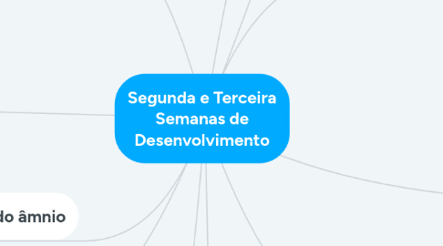 Mind Map: Segunda e Terceira Semanas de Desenvolvimento