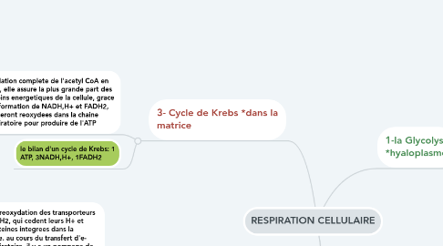 Mind Map: RESPIRATION CELLULAIRE