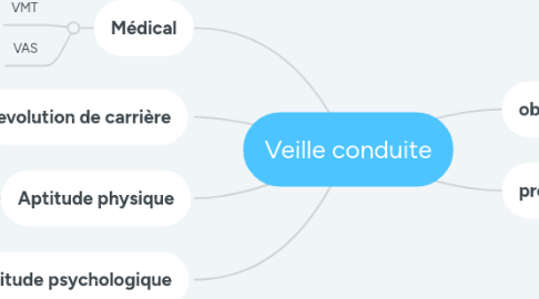 Mind Map: Le métier de conducteur