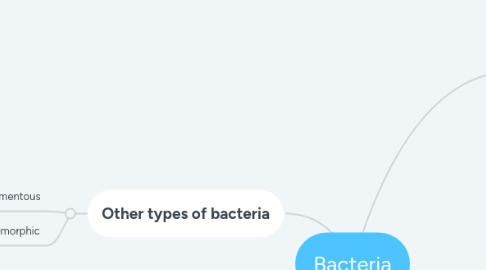 Mind Map: Bacteria