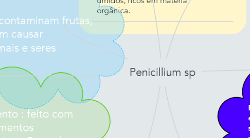 Mind Map: Penicillium sp